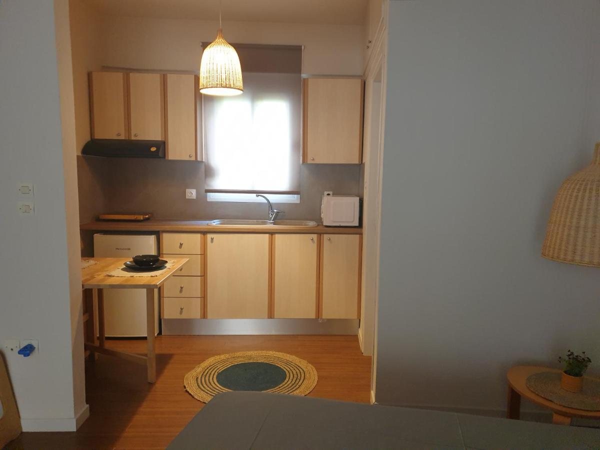 A Pleasent Small -Studio Close To The Port Of Vólosz Kültér fotó