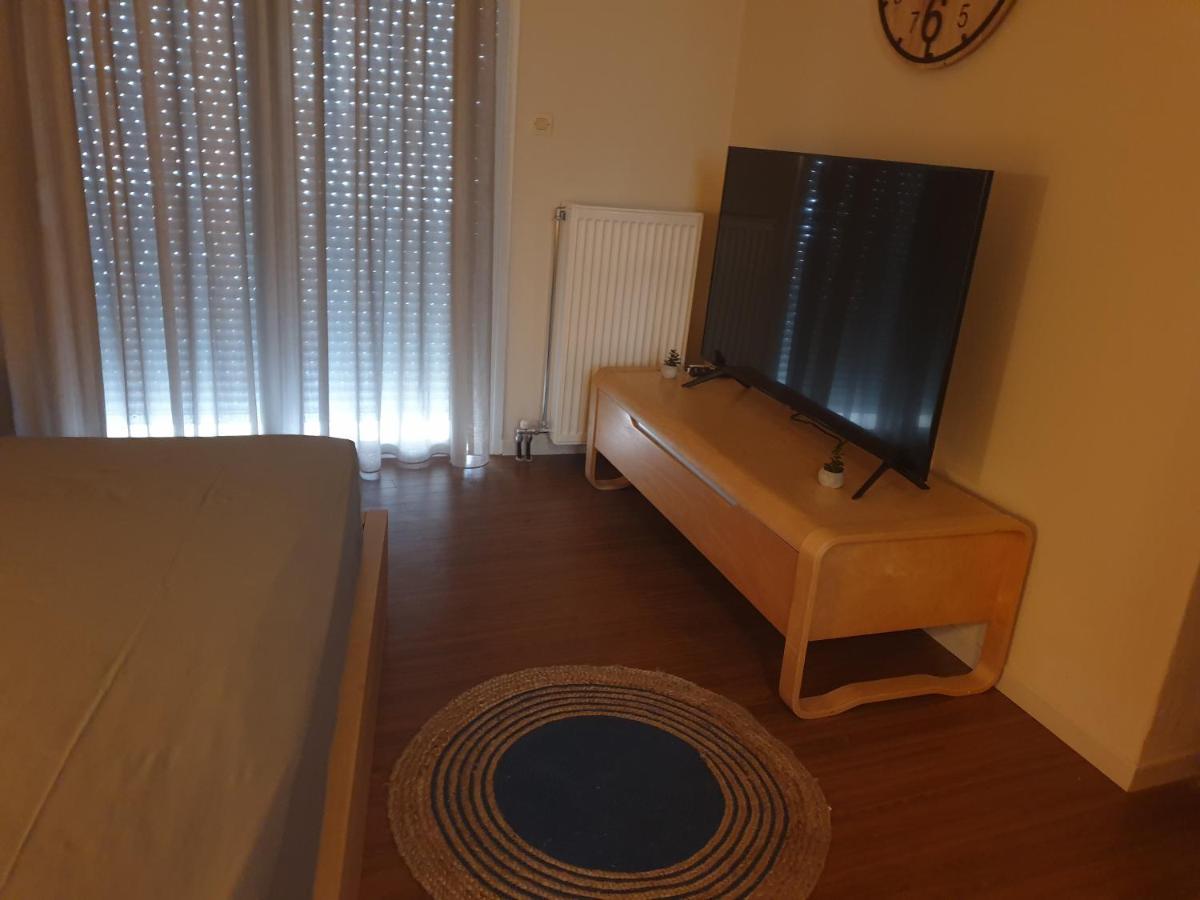 A Pleasent Small -Studio Close To The Port Of Vólosz Kültér fotó